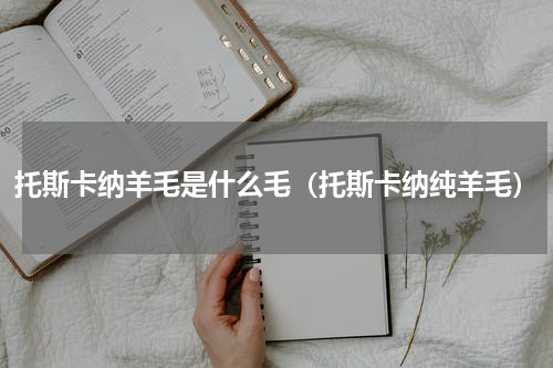 托斯卡纳羊毛是什么毛（托斯卡纳纯羊毛）