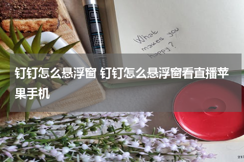 钉钉怎么悬浮窗 钉钉怎么悬浮窗看直播苹果手机