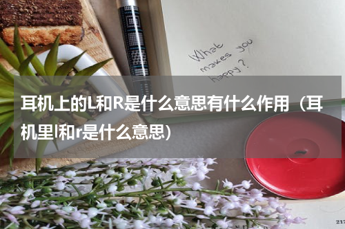 耳机上的L和R是什么意思有什么作用（耳机里l和r是什么意思）