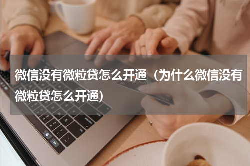 微信没有微粒贷怎么开通（为什么微信没有微粒贷怎么开通）