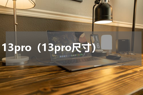 13pro（13pro尺寸）