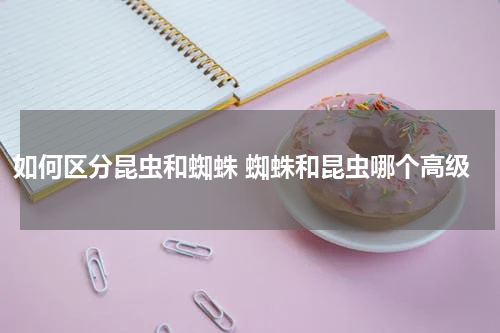 如何区分昆虫和蜘蛛 蜘蛛和昆虫哪个高级