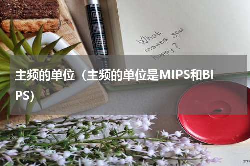主频的单位（主频的单位是MIPS和BIPS）