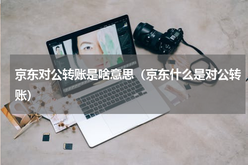 京东对公转账是啥意思（京东什么是对公转账）