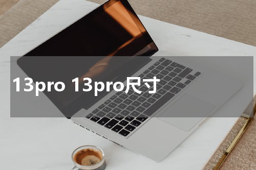 13pro 13pro尺寸