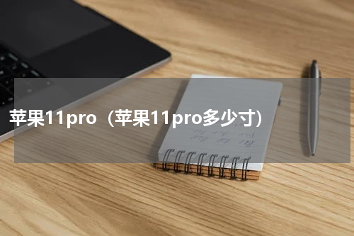 苹果11pro（苹果11pro多少寸）