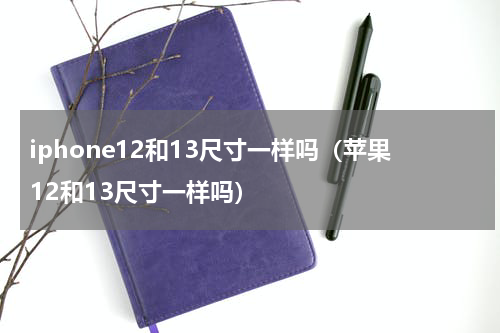 iphone12和13尺寸一样吗（苹果12和13尺寸一样吗）