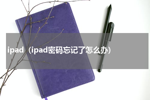 ipad（ipad密码忘记了怎么办）