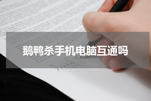 鹅鸭杀手机电脑互通吗