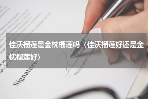 佳沃榴莲是金枕榴莲吗（佳沃榴莲好还是金枕榴莲好）