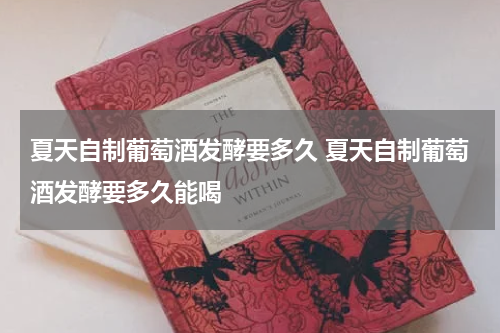 夏天自制葡萄酒发酵要多久 夏天自制葡萄酒发酵要多久能喝