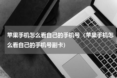 苹果手机怎么看自己的手机号（苹果手机怎么看自己的手机号副卡）