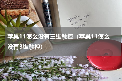 苹果11怎么没有三维触控（苹果11怎么没有3维触控）