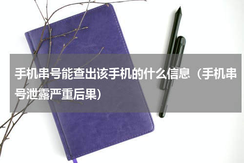 手机串号能查出该手机的什么信息（手机串号泄露严重后果）