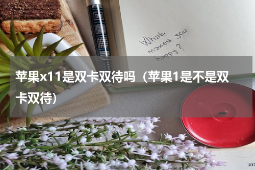 苹果x11是双卡双待吗（苹果1是不是双卡双待）
