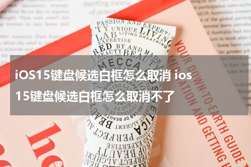 iOS15键盘候选白框怎么取消 ios15键盘候选白框怎么取消不了