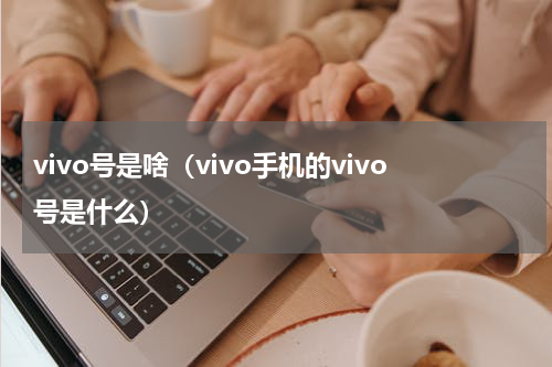 vivo号是啥（vivo手机的vivo号是什么）