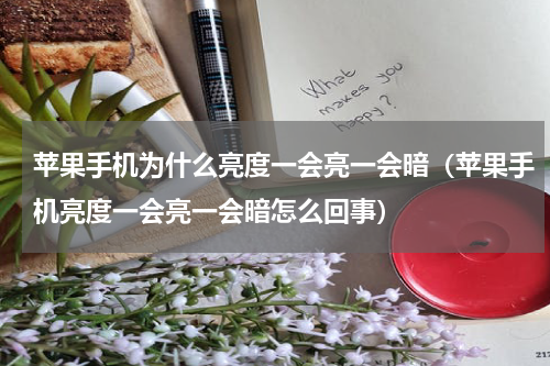苹果手机为什么亮度一会亮一会暗（苹果手机亮度一会亮一会暗怎么回事）