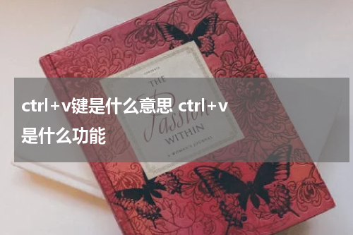 ctrl+v键是什么意思 ctrl+v是什么功能