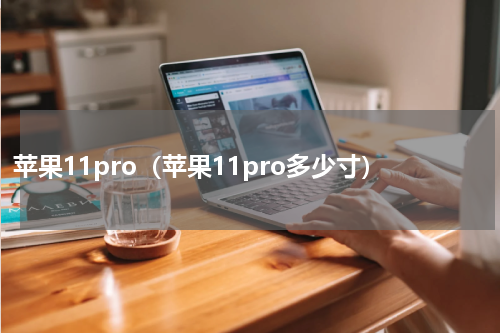 苹果11pro（苹果11pro多少寸）