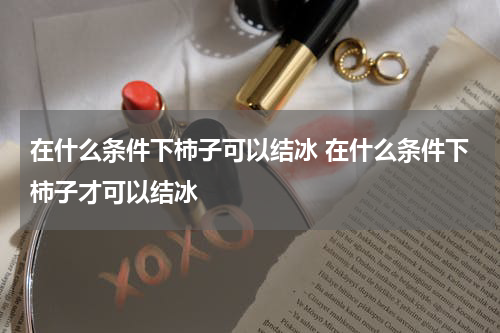 在什么条件下柿子可以结冰 在什么条件下柿子才可以结冰