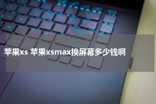 苹果xs 苹果xsmax换屏幕多少钱啊