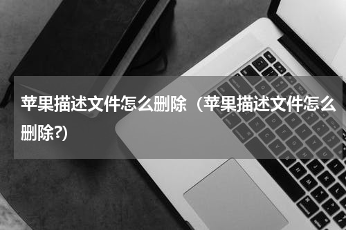 苹果描述文件怎么删除（苹果描述文件怎么删除?）