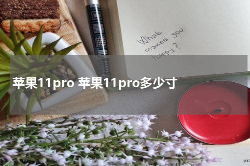 苹果11pro 苹果11pro多少寸