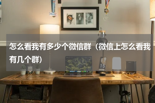 怎么看我有多少个微信群（微信上怎么看我有几个群）