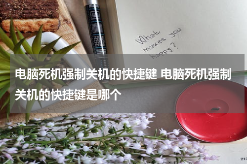 电脑死机强制关机的快捷键 电脑死机强制关机的快捷键是哪个
