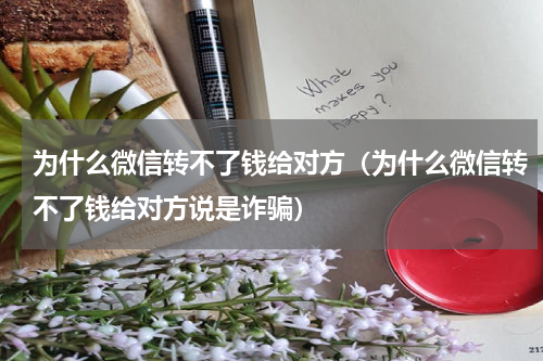为什么微信转不了钱给对方（为什么微信转不了钱给对方说是诈骗）