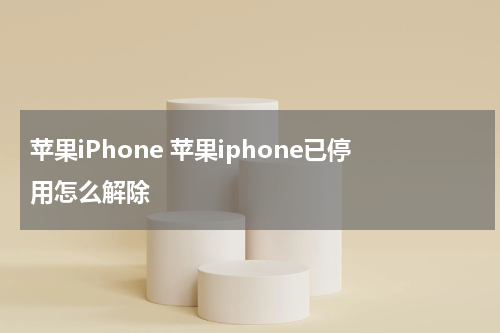 苹果iPhone 苹果iphone已停用怎么解除
