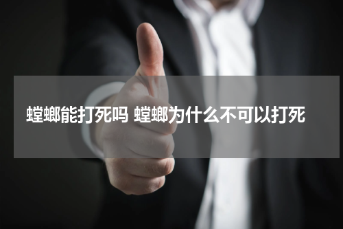 螳螂能打死吗 螳螂为什么不可以打死