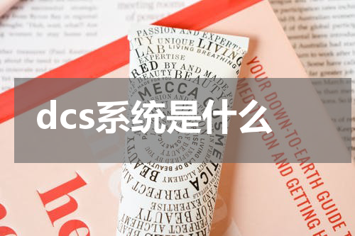 dcs系统是什么