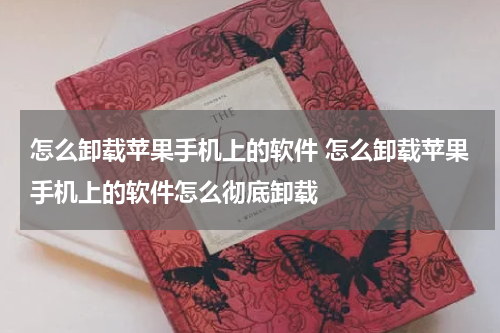 怎么卸载苹果手机上的软件 怎么卸载苹果手机上的软件怎么彻底卸载