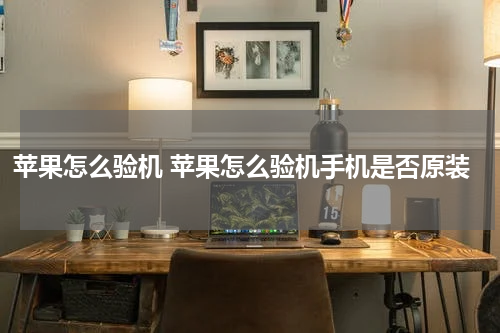 苹果怎么验机 苹果怎么验机手机是否原装