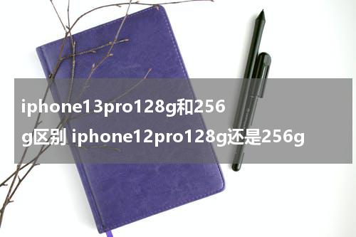 iphone13pro128g和256g区别 iphone12pro128g还是256g