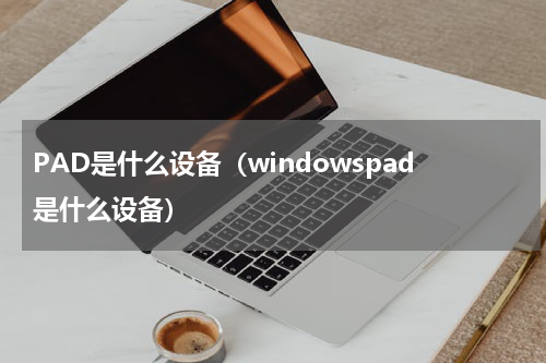PAD是什么设备（windowspad是什么设备）