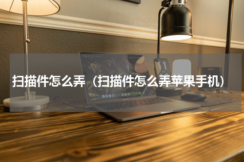 扫描件怎么弄（扫描件怎么弄苹果手机）