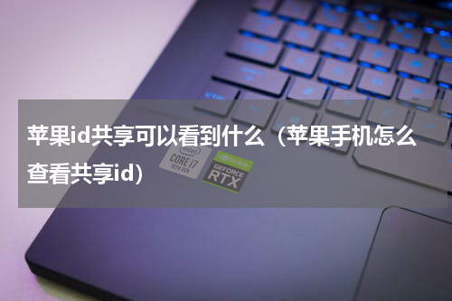 苹果id共享可以看到什么（苹果手机怎么查看共享id）