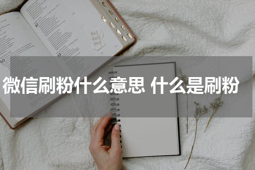 微信刷粉什么意思 什么是刷粉