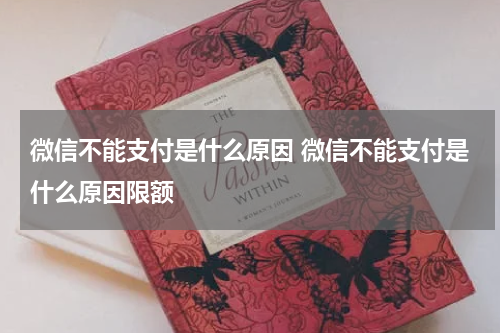 微信不能支付是什么原因 微信不能支付是什么原因限额