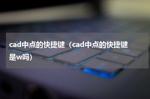 cad中点的快捷键（cad中点的快捷键是w吗）