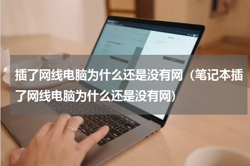 插了网线电脑为什么还是没有网（笔记本插了网线电脑为什么还是没有网）