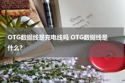 OTG数据线是充电线吗 OTG数据线是什么?