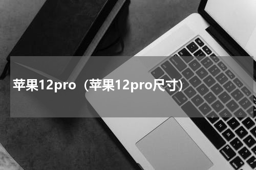 苹果12pro（苹果12pro尺寸）