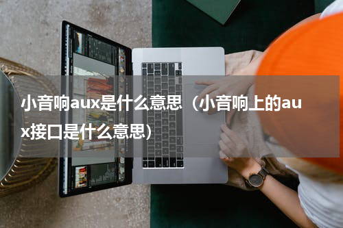 小音响aux是什么意思（小音响上的aux接口是什么意思）