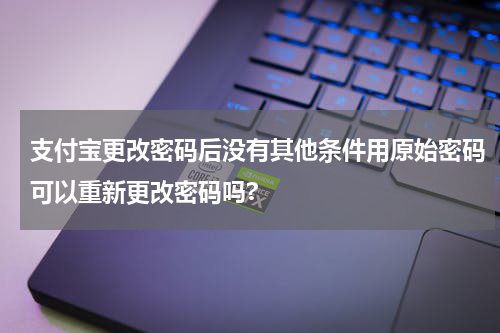 支付宝更改密码后没有其他条件用原始密码可以重新更改密码吗?