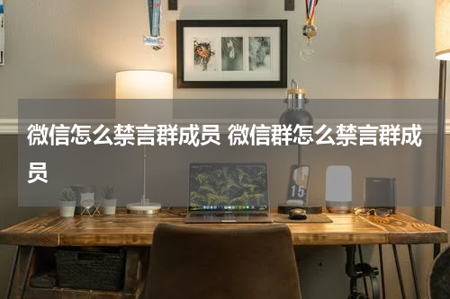 微信怎么禁言群成员 微信群怎么禁言群成员