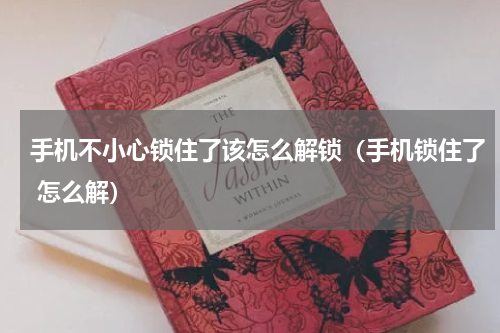 手机不小心锁住了该怎么解锁（手机锁住了 怎么解）